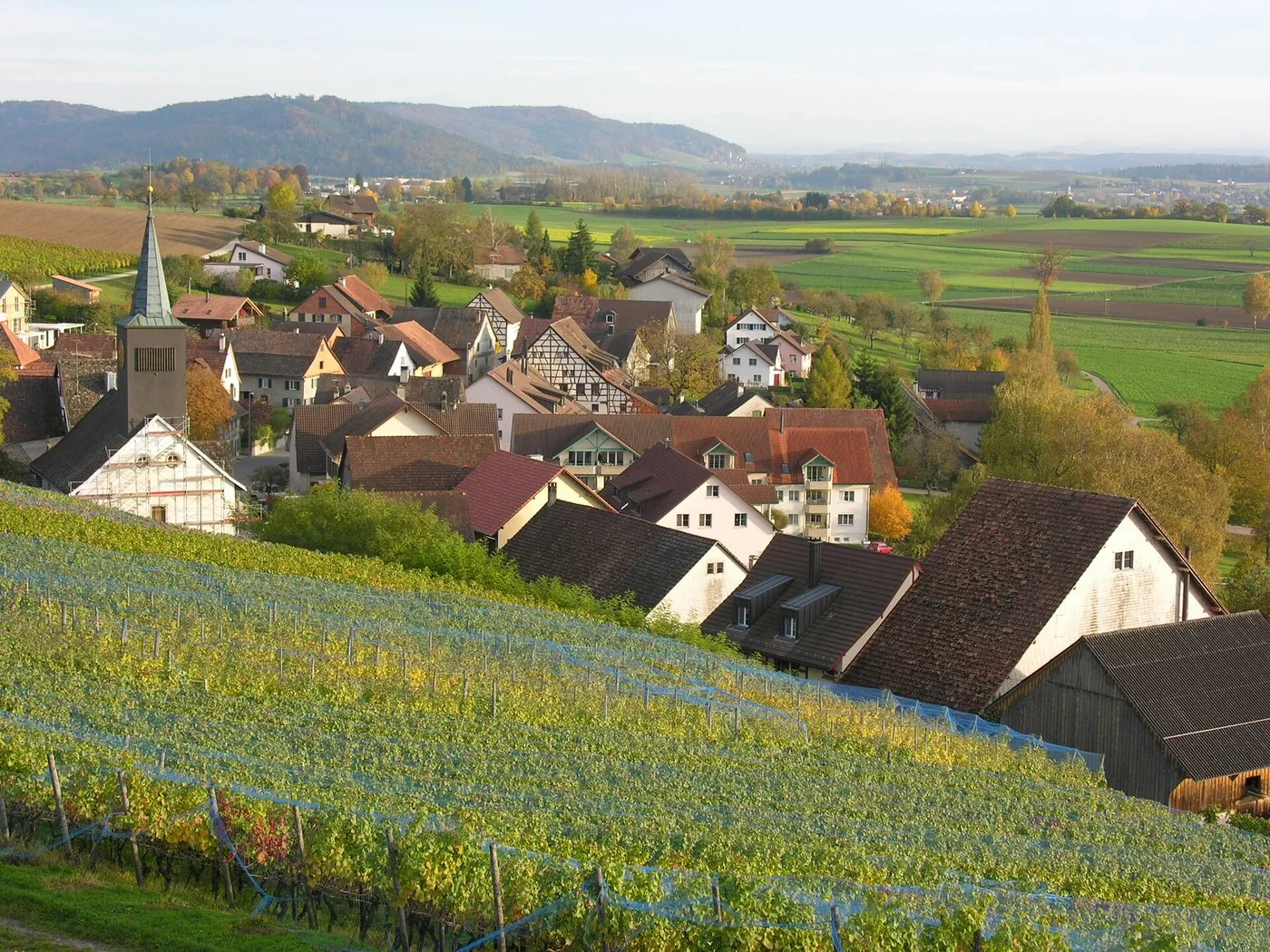 Dörflingen im Herbst mit Rebberg und Kirche