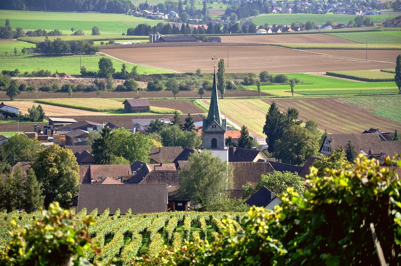 Blick von der Bergkirche auf Hallau