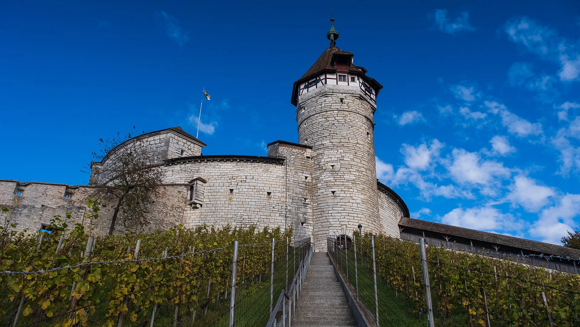 Munot-Turm mit Treppe durch den Rebberg