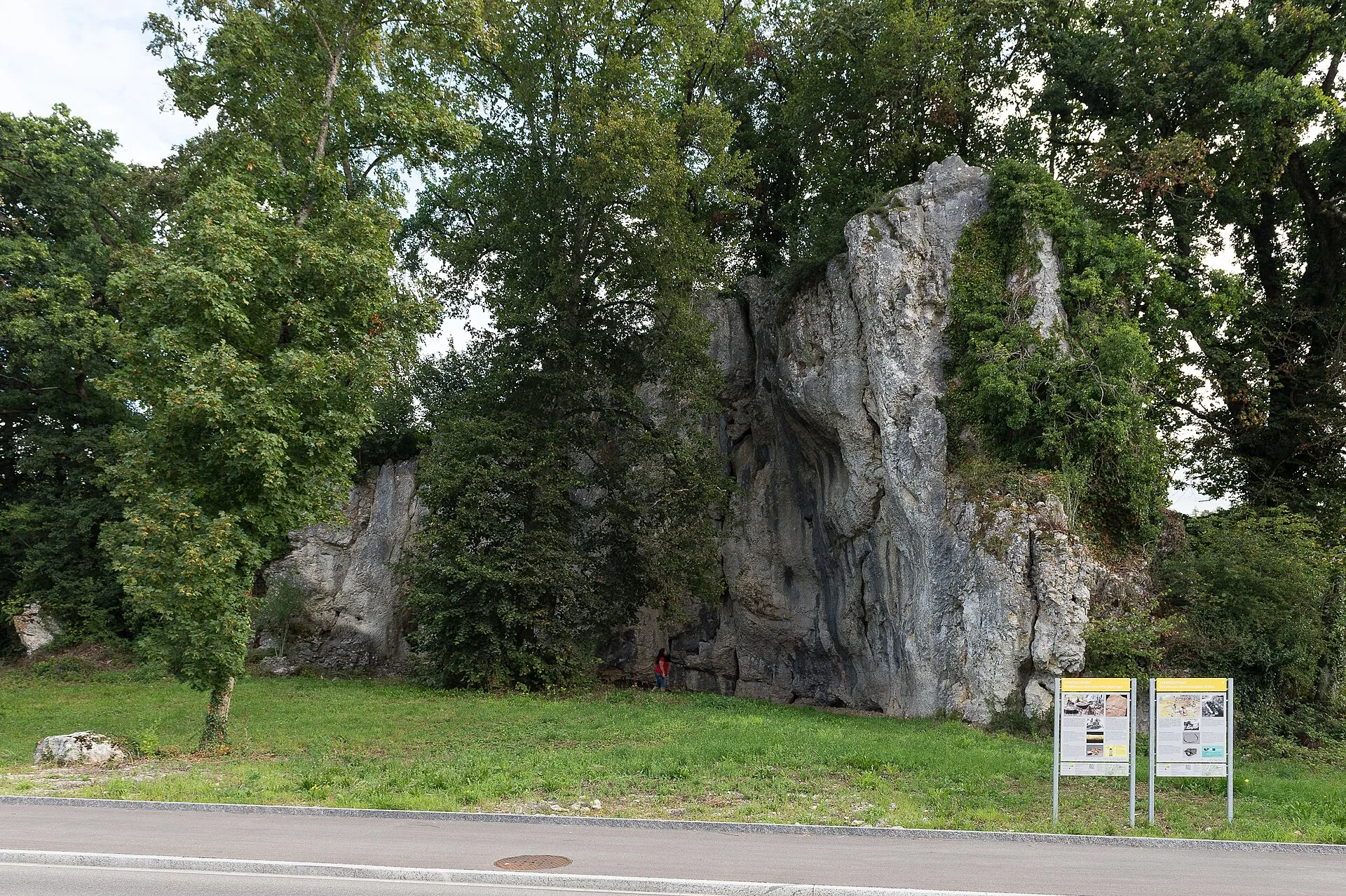 Felswand des Abri Schweizersbild in Schaffhausen