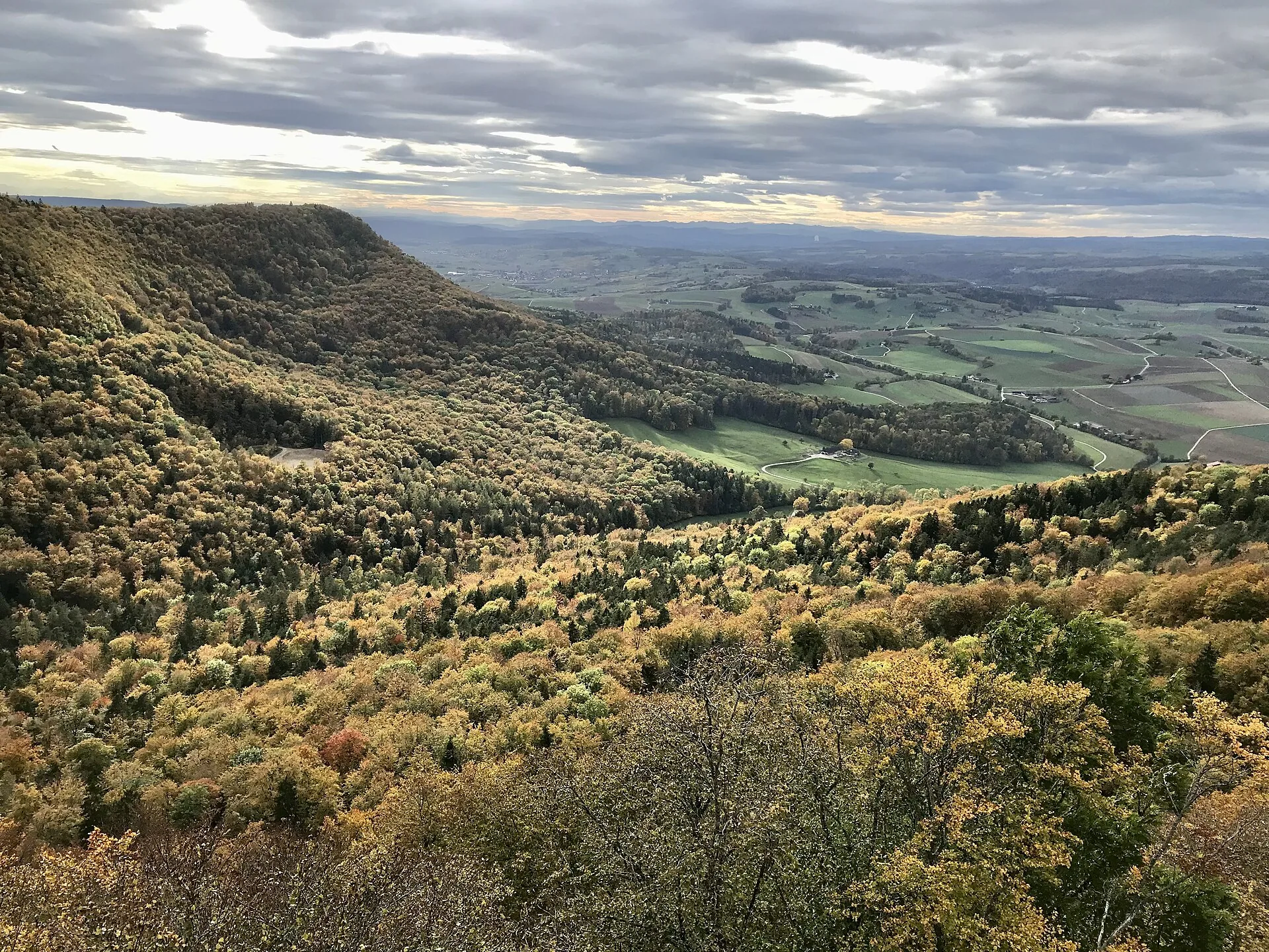 Bewaldete Randenhöhen oberhalb von Schaffhausen im Herbst