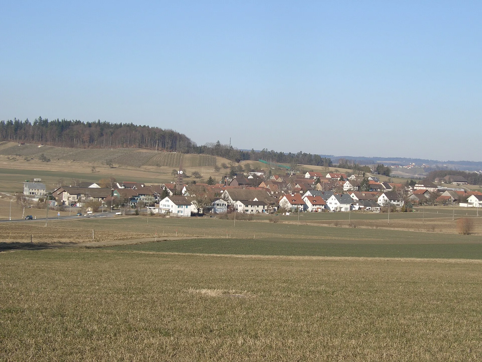 Dorfansicht von Rickenbach ZH über Felder mit Rebhang und Waldkuppe