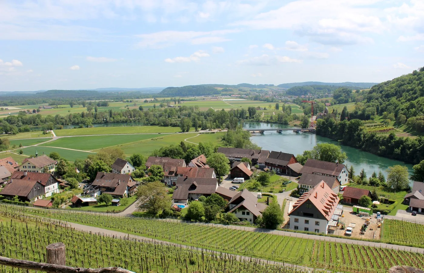 Blick über die Reben auf Rüdlingen und die Rheinbrücke nach Flaach