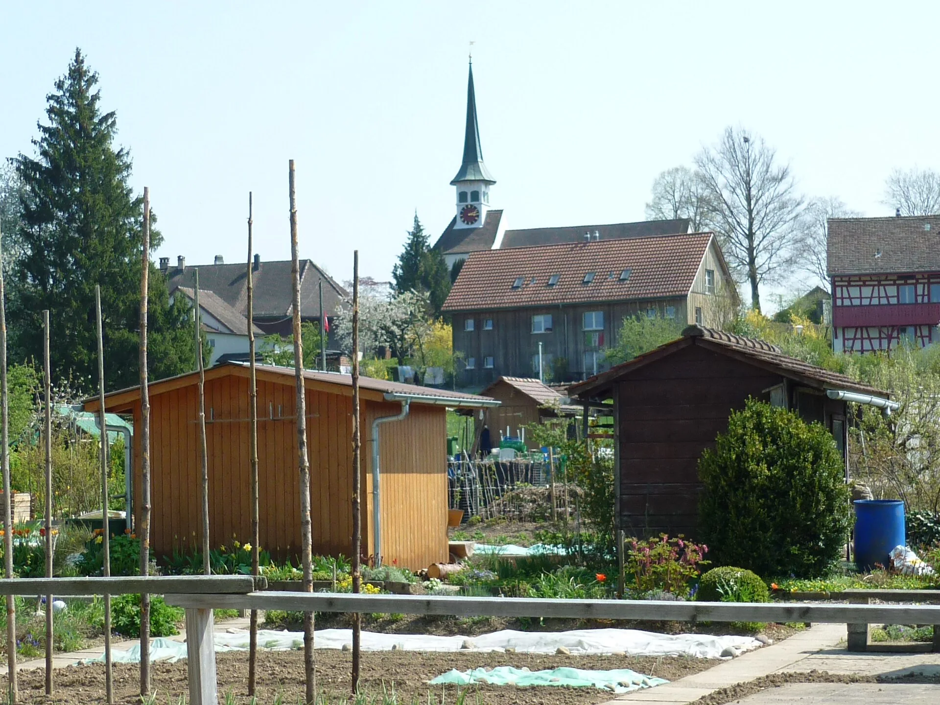 Dorfansicht von Seuzach mit Familiengärten, Wohnhäusern, Riegelhaus und Kirchturm