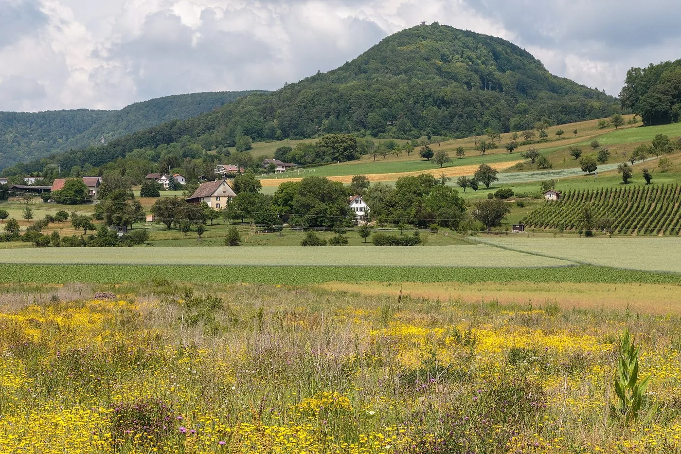 Blick über Siblingen zum Randen mit dem Siblinger Randenturm